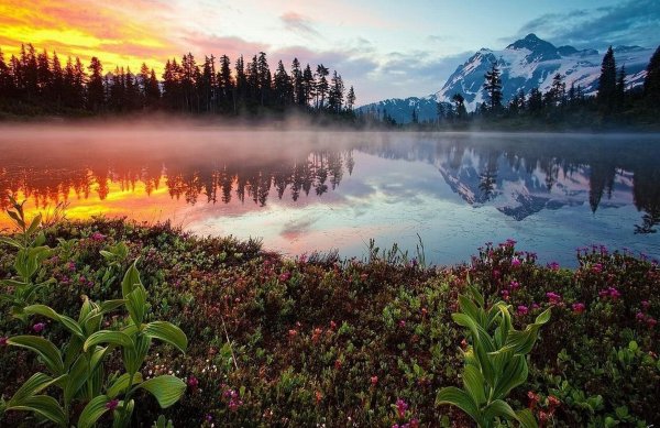 Чудесный мир природы