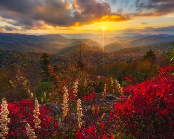 Яркая природа