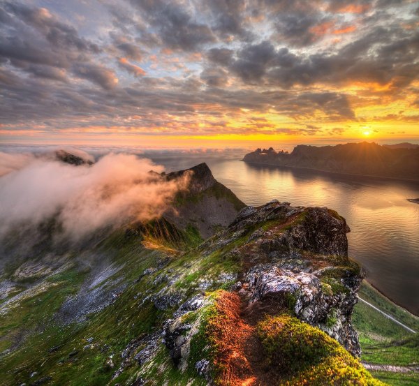 Художественное фото природы