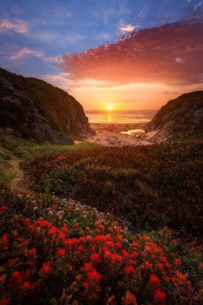 Восхитительный пейзаж