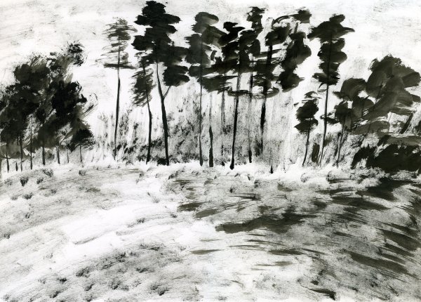 Пейзаж в технике сухая кисть