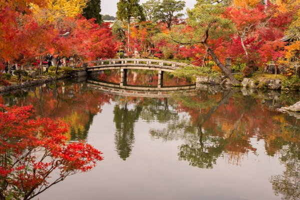 Осень Барокко парк японский