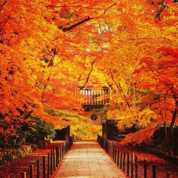 Киото осенью