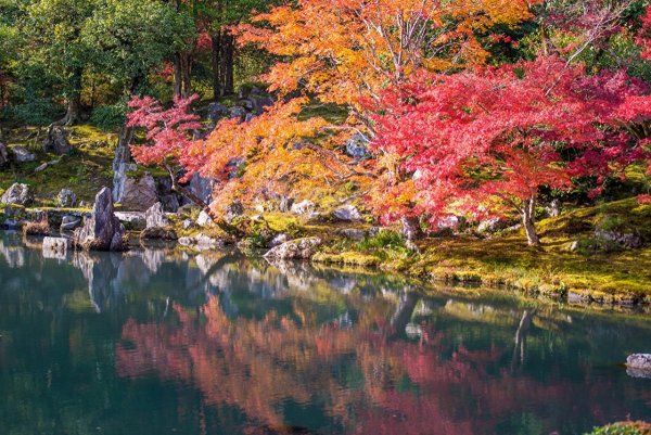 Япония осенью Киото