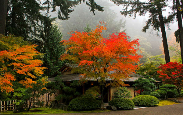 Япония Момидзи горы