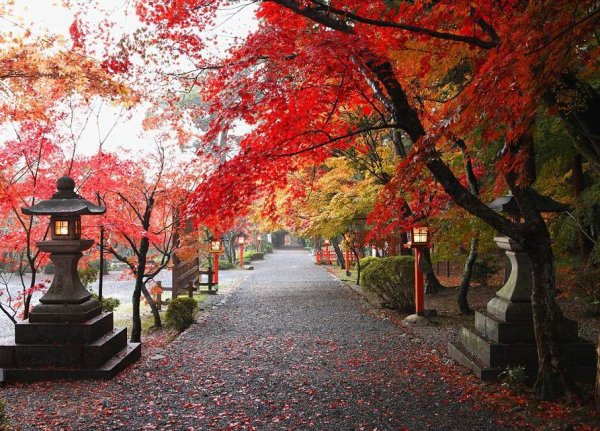 Киото Япония осень