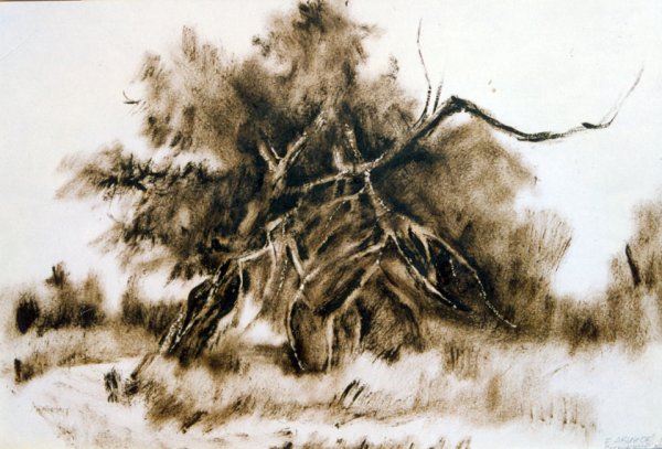 Сухая кисть пейзаж