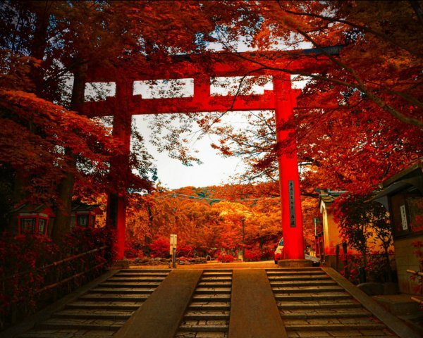 Япония ворота Тори 4к