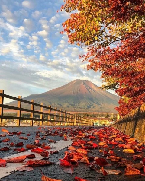 Киото гора Фудзияма