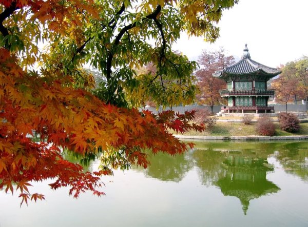 Природа в Корее Сеул