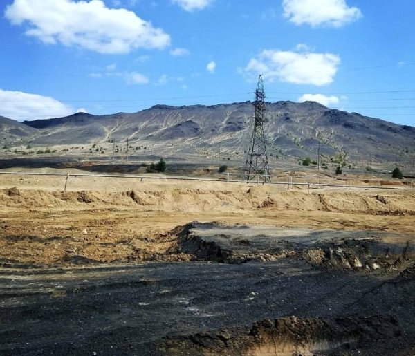 Карабаш ржавая Долина