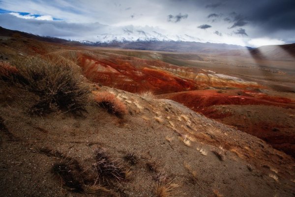 Богданович Марсианские пейзажи
