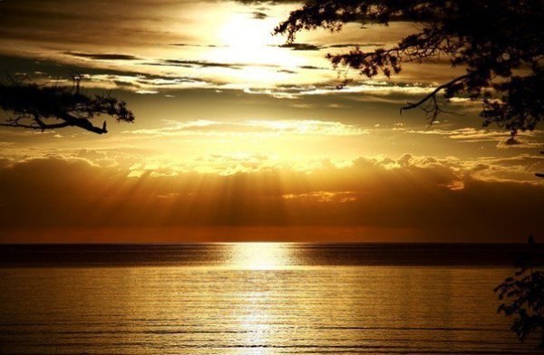 Доброго весеннего вечера природа