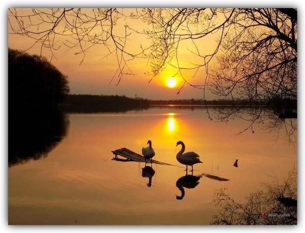 Тихий вечер природа