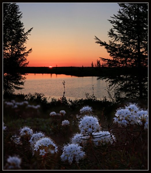 Багряный рассвет