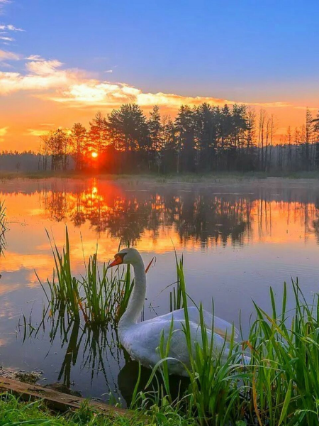 Сказочные вечерние пейзажи