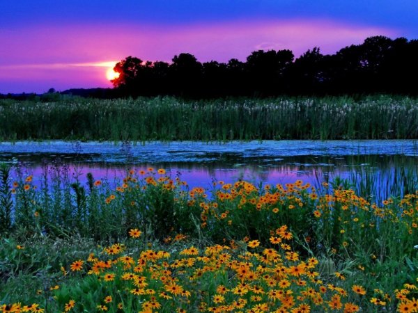 Художник Джим Хансел