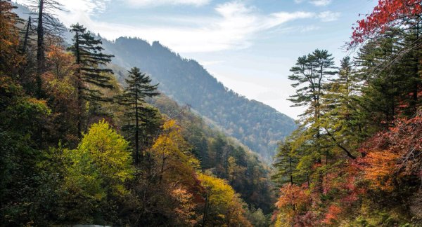 Хамгён хребет