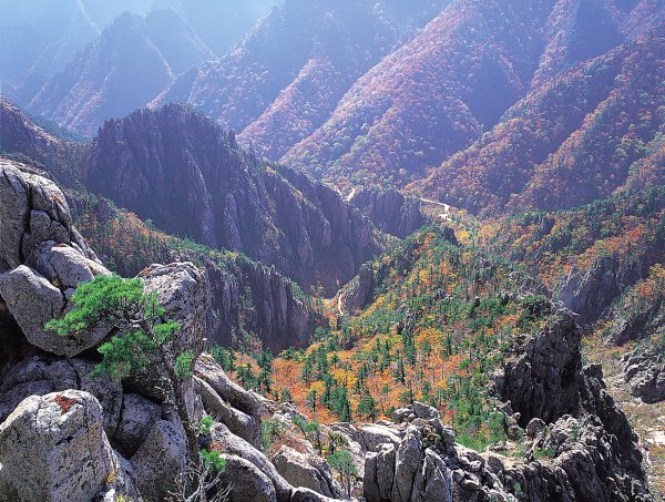 Горы Кымгансан Южная Корея