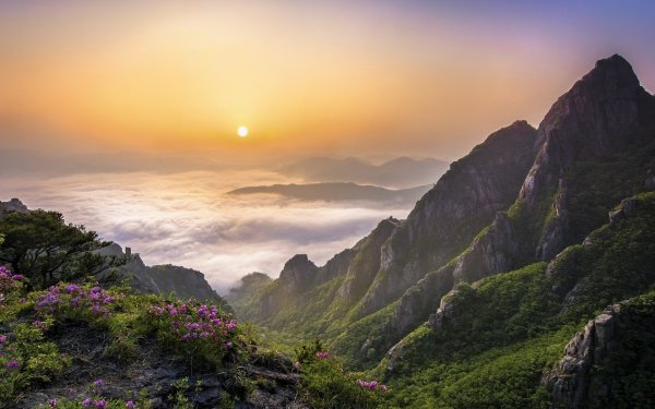 Пейзажи Южной Кореи