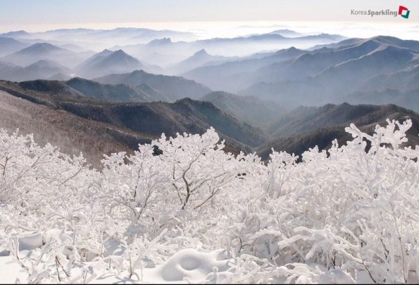 Снежная Южная Корея