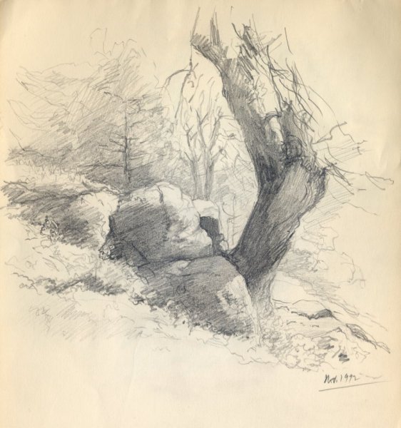 Пейзаж карандашом