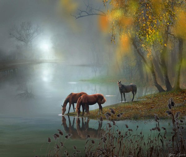 Лошади фотохудожника Игоря Зенина
