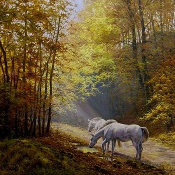 Пейзаж животные лошади