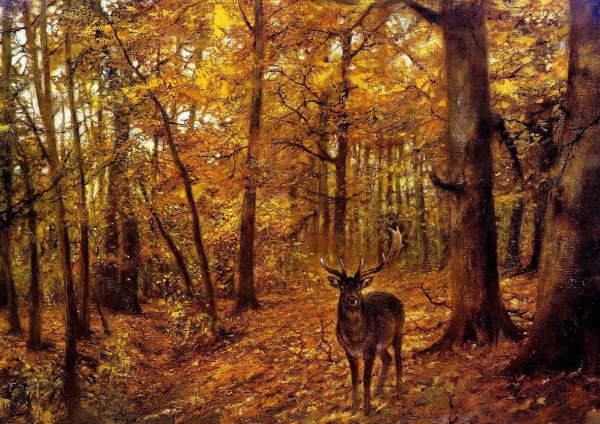 Художник rien Poortvliet