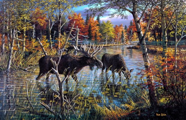 Пейзаж с лосем