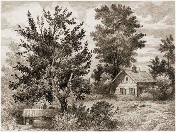 Сельский пейзаж в графике