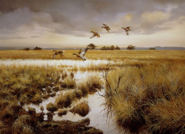 Пейзаж охота