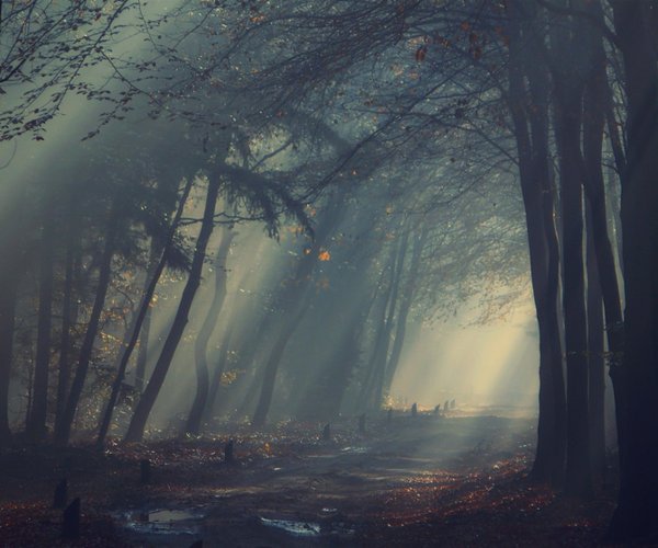 Мрачный пейзаж