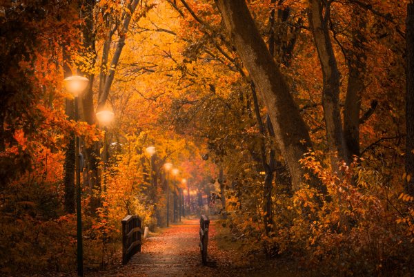 Осень парк фонари