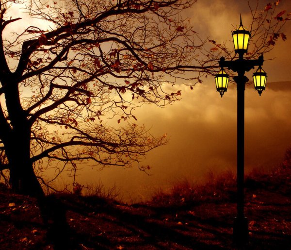 Ночной парк живопись