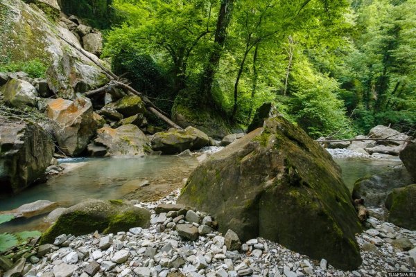 Туапсе Киселева море