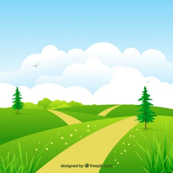 Полянка с тропинкой