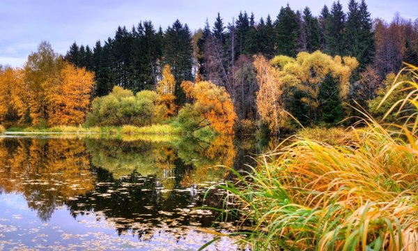 Природа осень