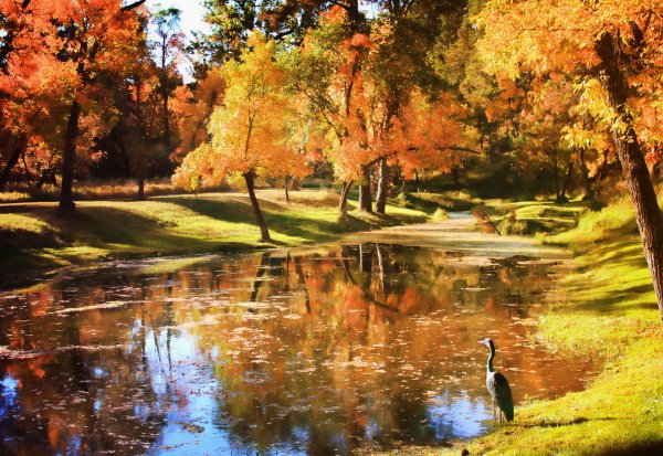 Осень парк пруд