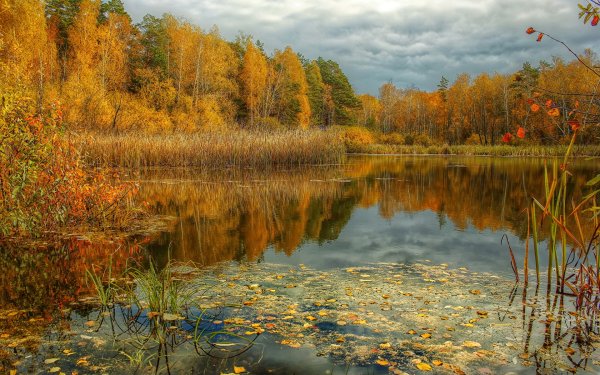 Золотая осень озеро природа река лес