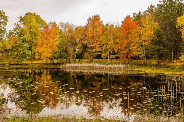 Река осенью