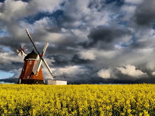 Мельница для пшена на поле