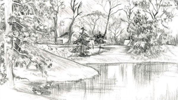 Рисунки карандашом природа