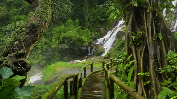 Амазонские джунгли тропический водопад