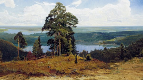 Александр Афонин картины