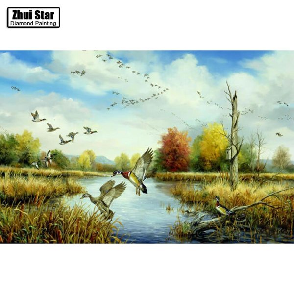 Селезень кряквы осенью