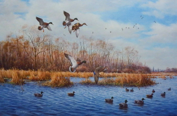 Утиная охота живопись