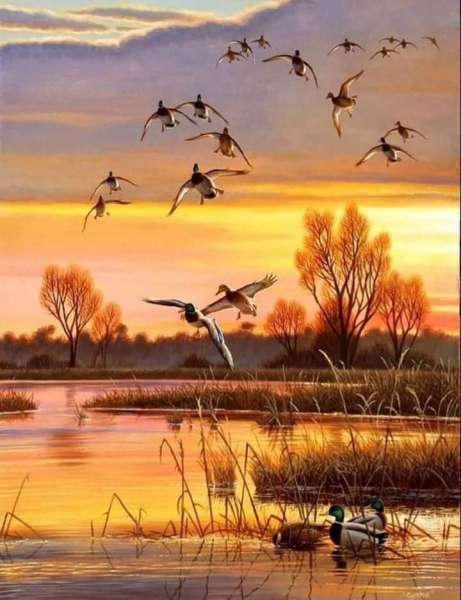 Пушкин гусей крикливых Караван