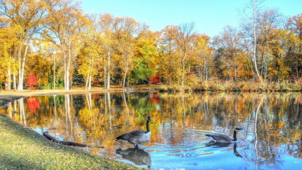 Золотая осень Нарышкинский пруд