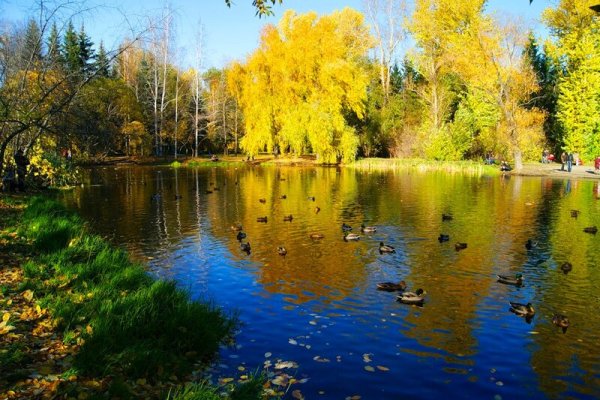 Пейзаж с утками